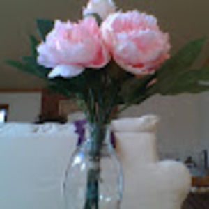 Meet your Posher, Tracy